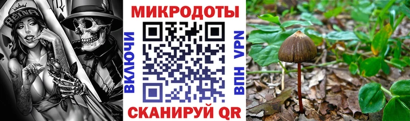 Галлюциногенные грибы мухоморы  даркнет сайт  Северская 